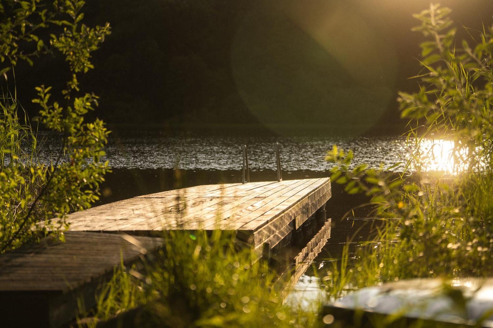 Domek Dla Pary Kaszuby Linia Brzegowa Jezioro Prywatny Las Roztoka  Extérieur photo